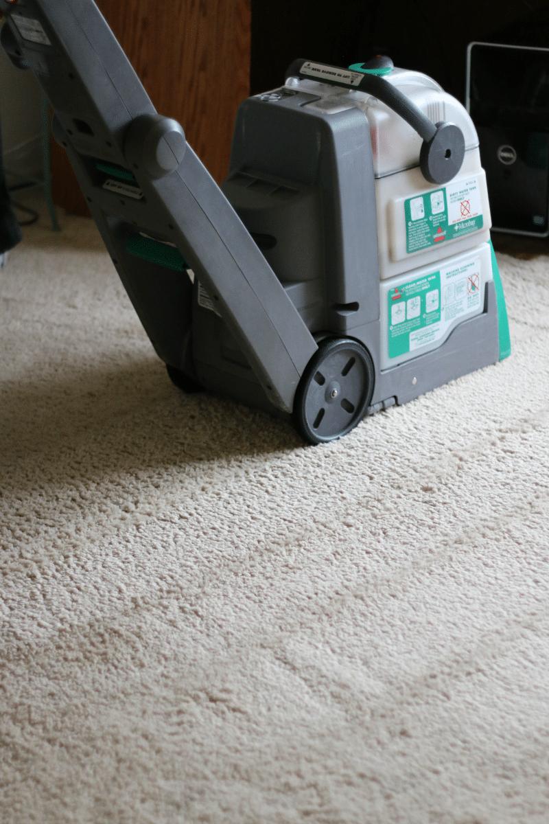 Carpet extraction machine deep cleaning a beige carpet.